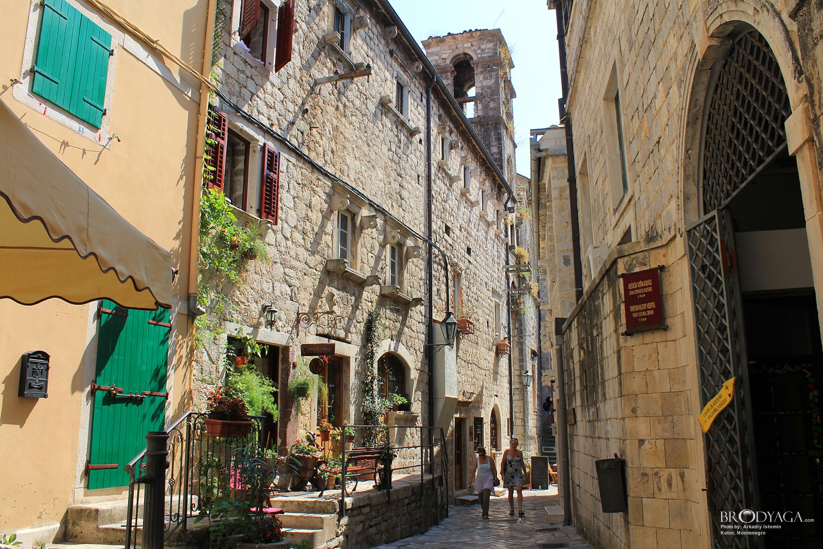 Kotor